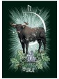 Witch's Familiar Runic Oracle Cards by Athene Noctua