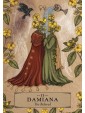 The Herbal Astrology Oracle by Adriana Ayales