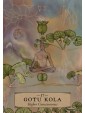 The Herbal Astrology Oracle by Adriana Ayales