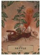The Herbal Astrology Pocket Oracle by Adriana Ayales & Joséphine Klerks