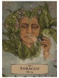 The Herbal Astrology Pocket Oracle by Adriana Ayales & Joséphine Klerks