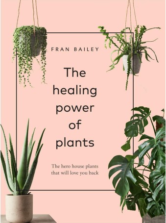 The Healing Power of Plants by Fran Bailey